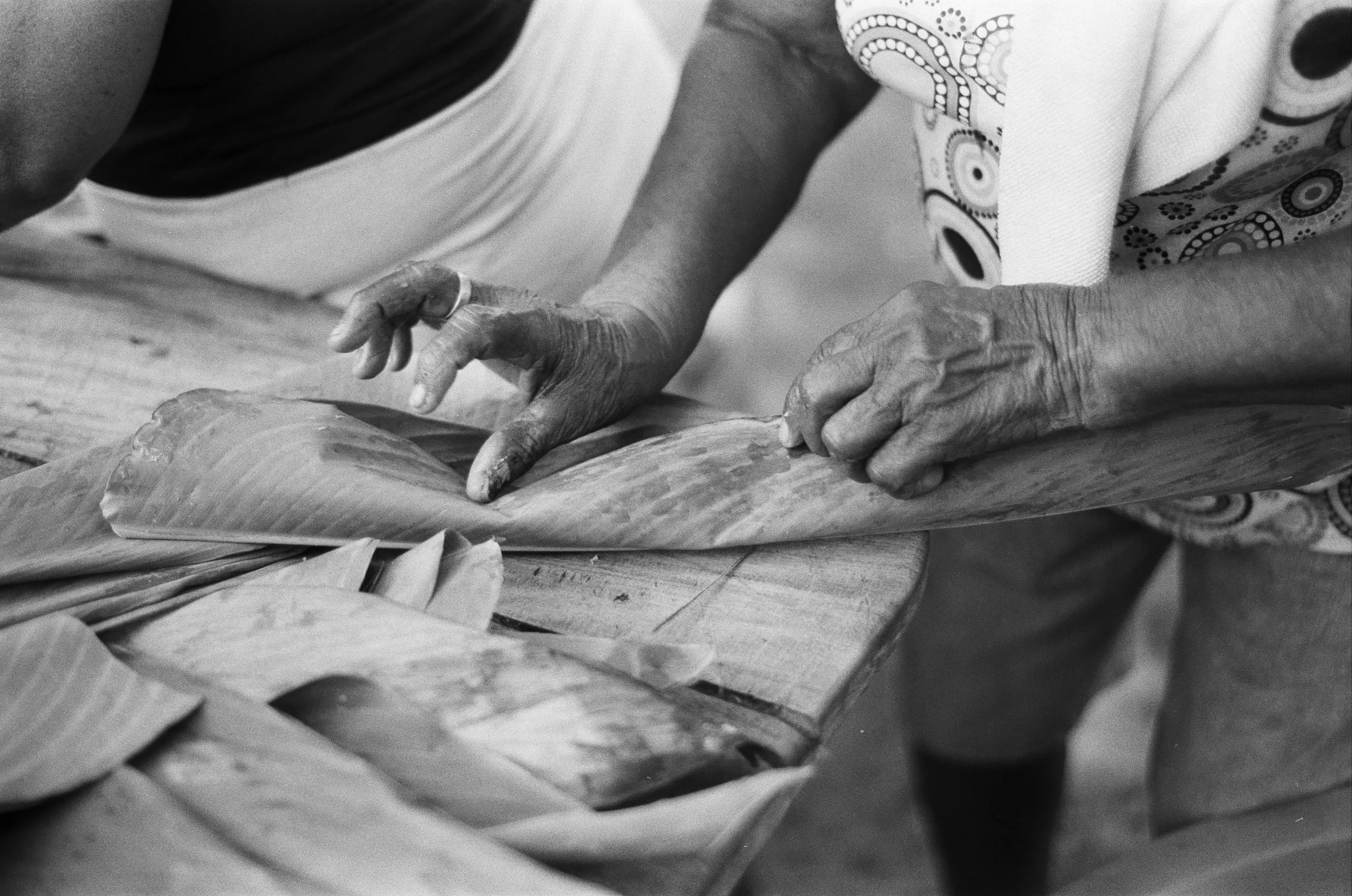 Manos de Manuela Hernández, Boca de San Miguel, Veracruz, México, 2025