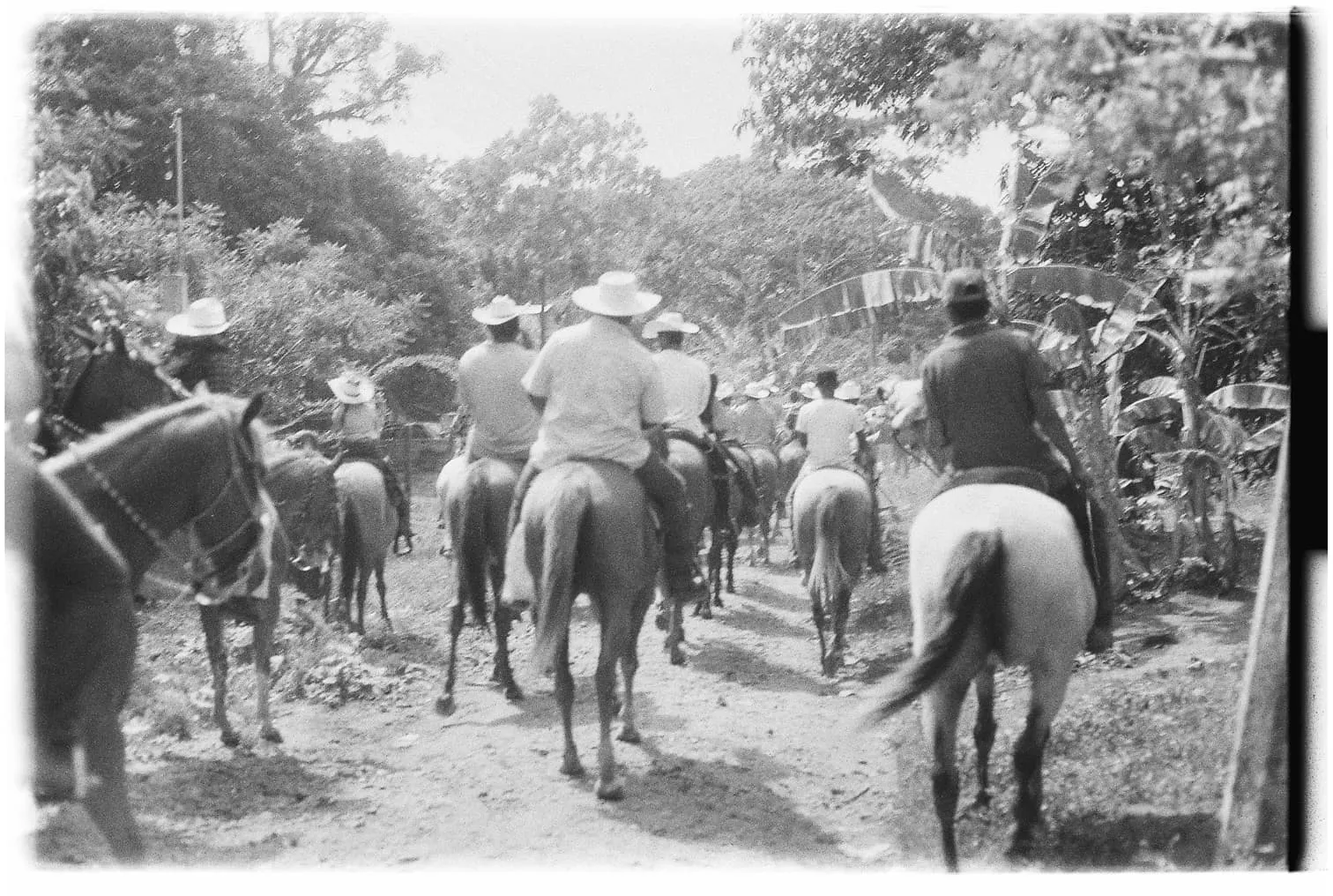 Procesión en cabalgata a San Juan Bautista, Chacalapa, Veracruz, México, 2023