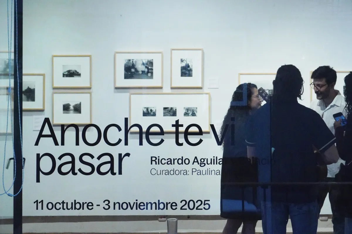 Registro de Anoche te vi pasar en Guanajuato, fotografía 1