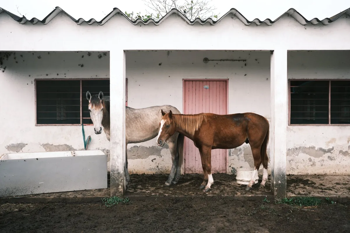 Fotografía digital — Ricardo Aguilar y Palacio