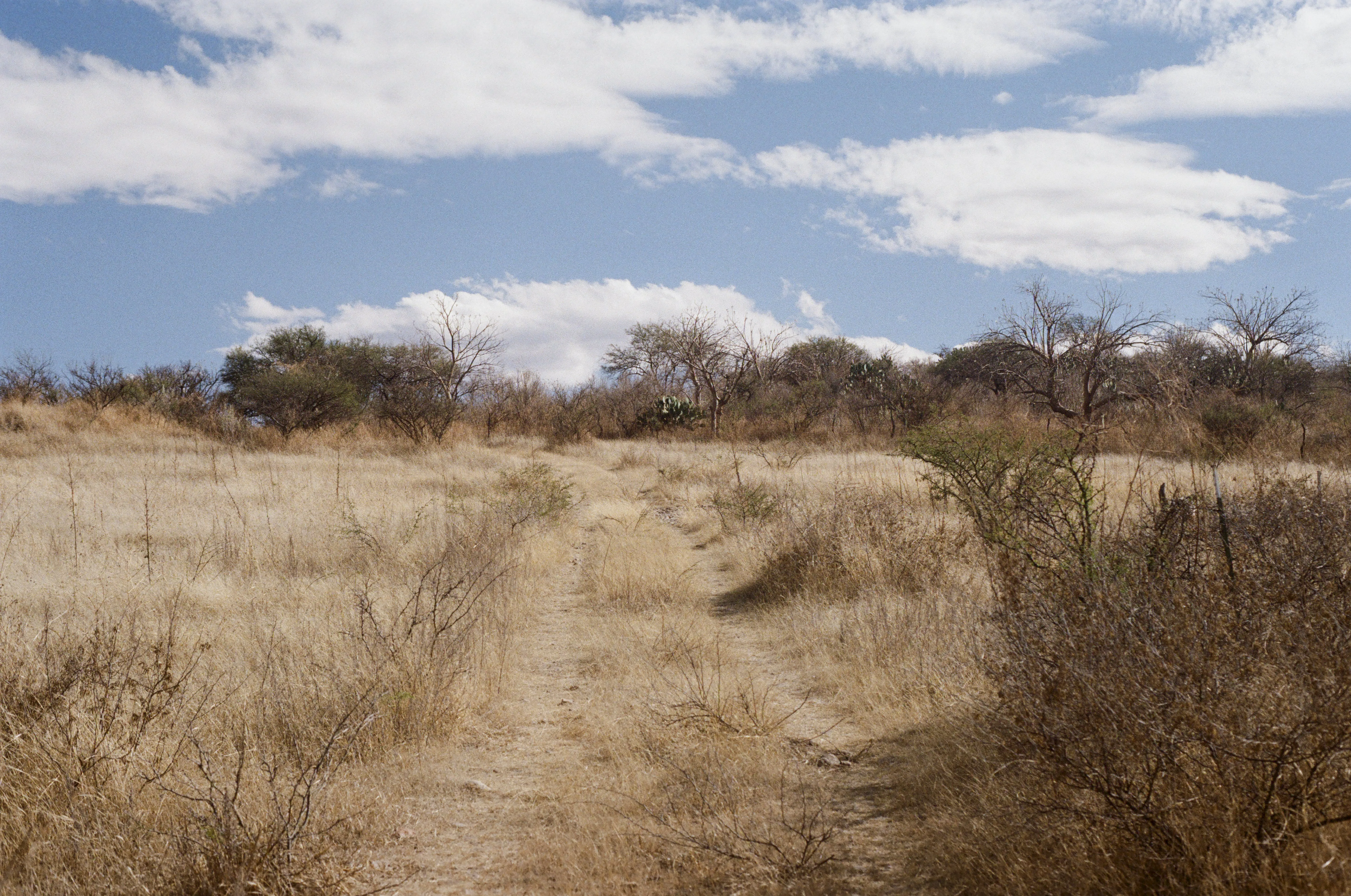 Fotografía análoga — Ricardo Aguilar y Palacio