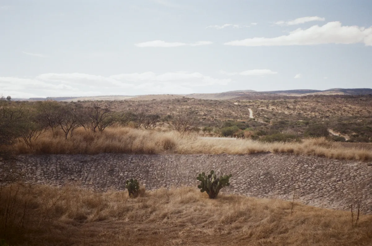 Fotografía análoga — Ricardo Aguilar y Palacio
