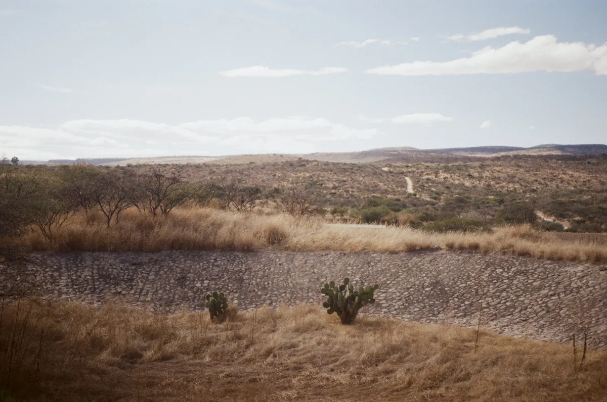 Fotografía análoga — Ricardo Aguilar y Palacio