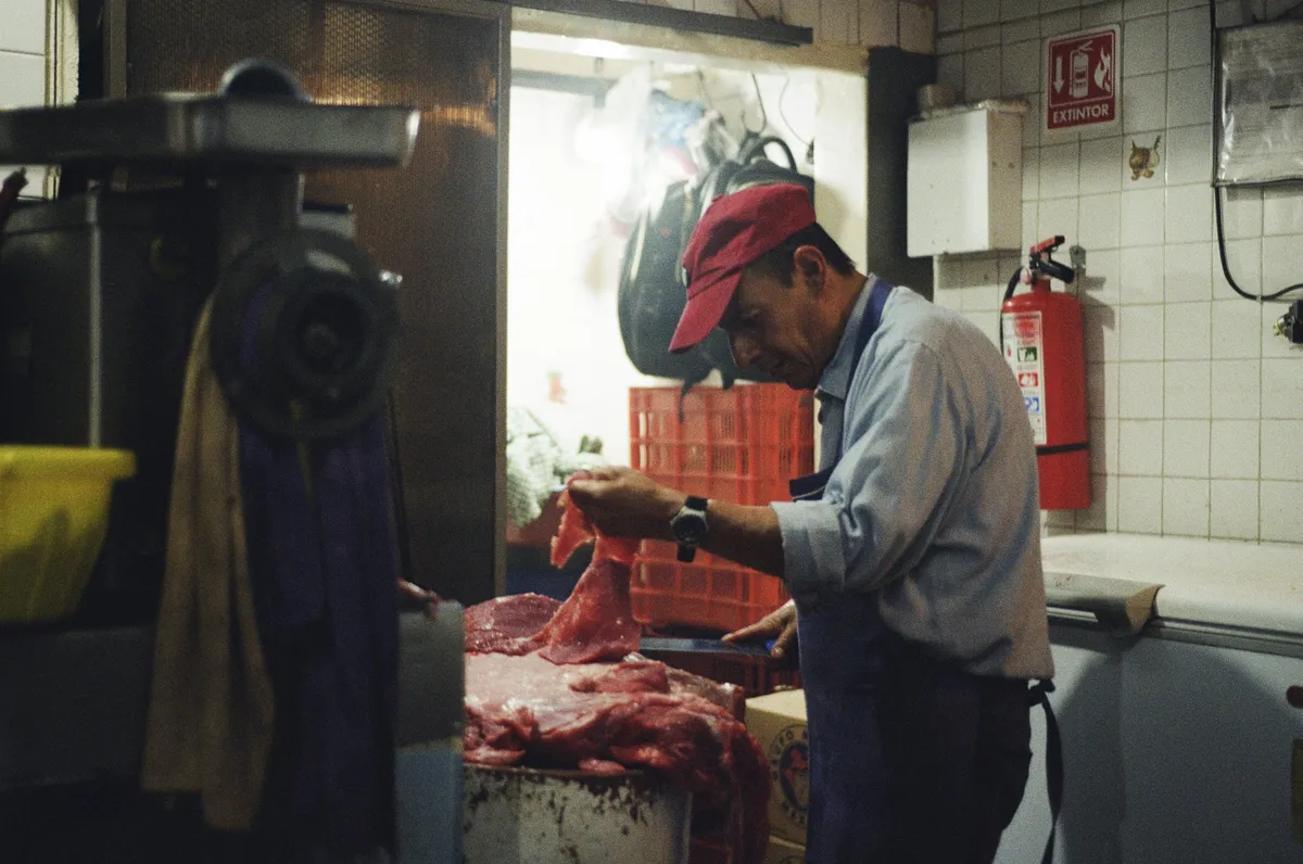 Fotografía análoga — Ricardo Aguilar y Palacio