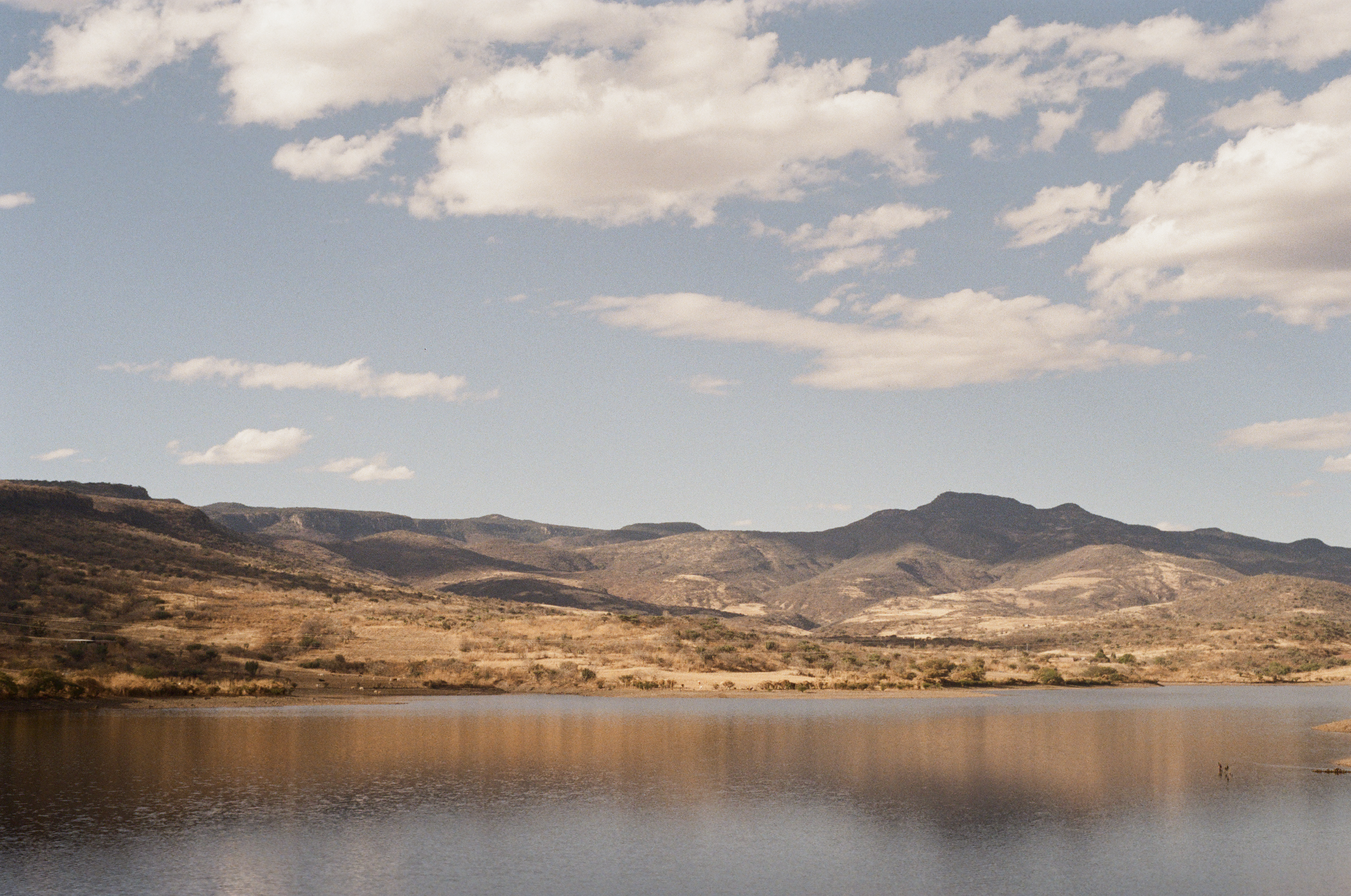 Fotografía análoga — Ricardo Aguilar y Palacio