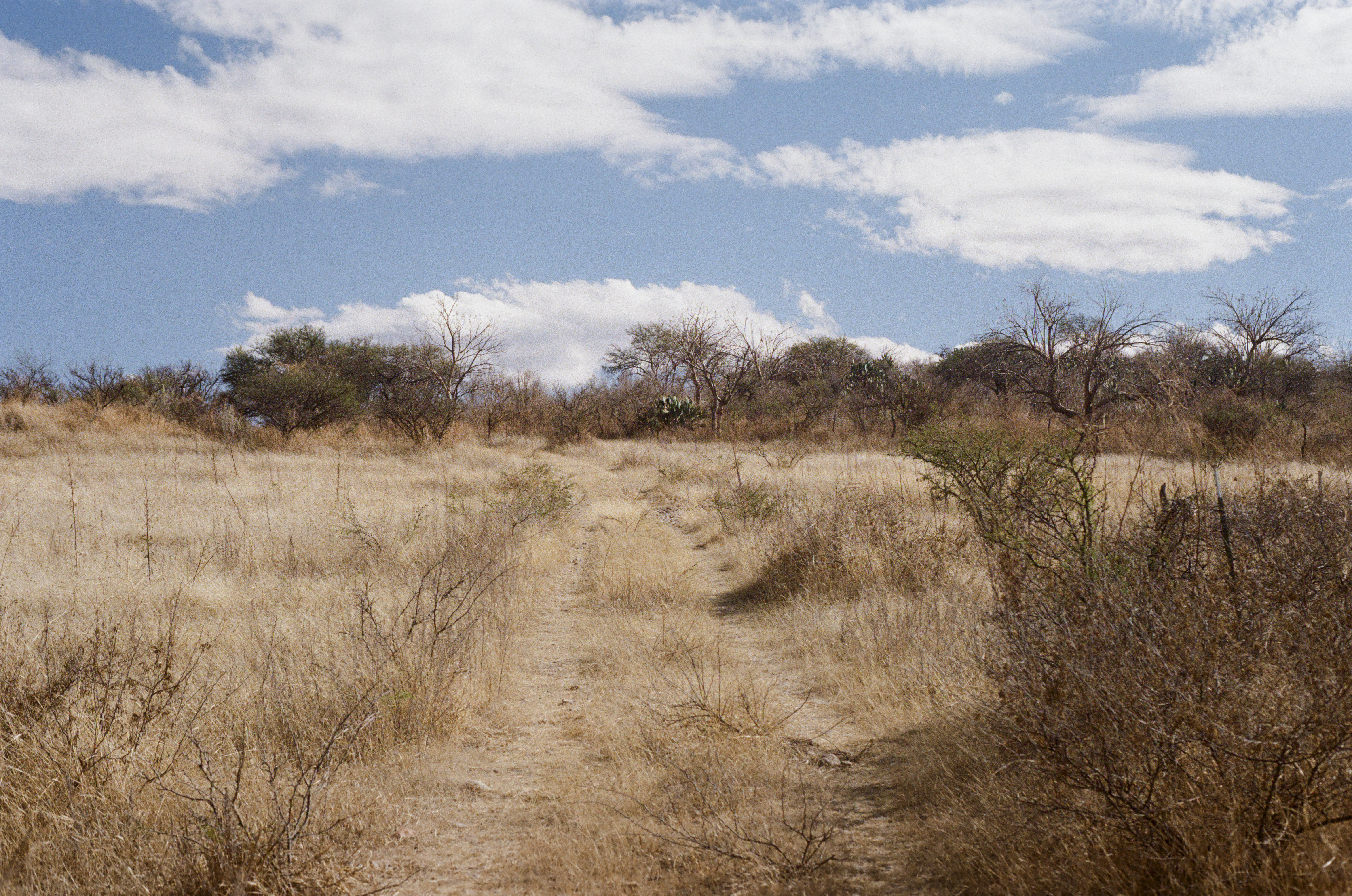 Fotografía análoga — Ricardo Aguilar y Palacio