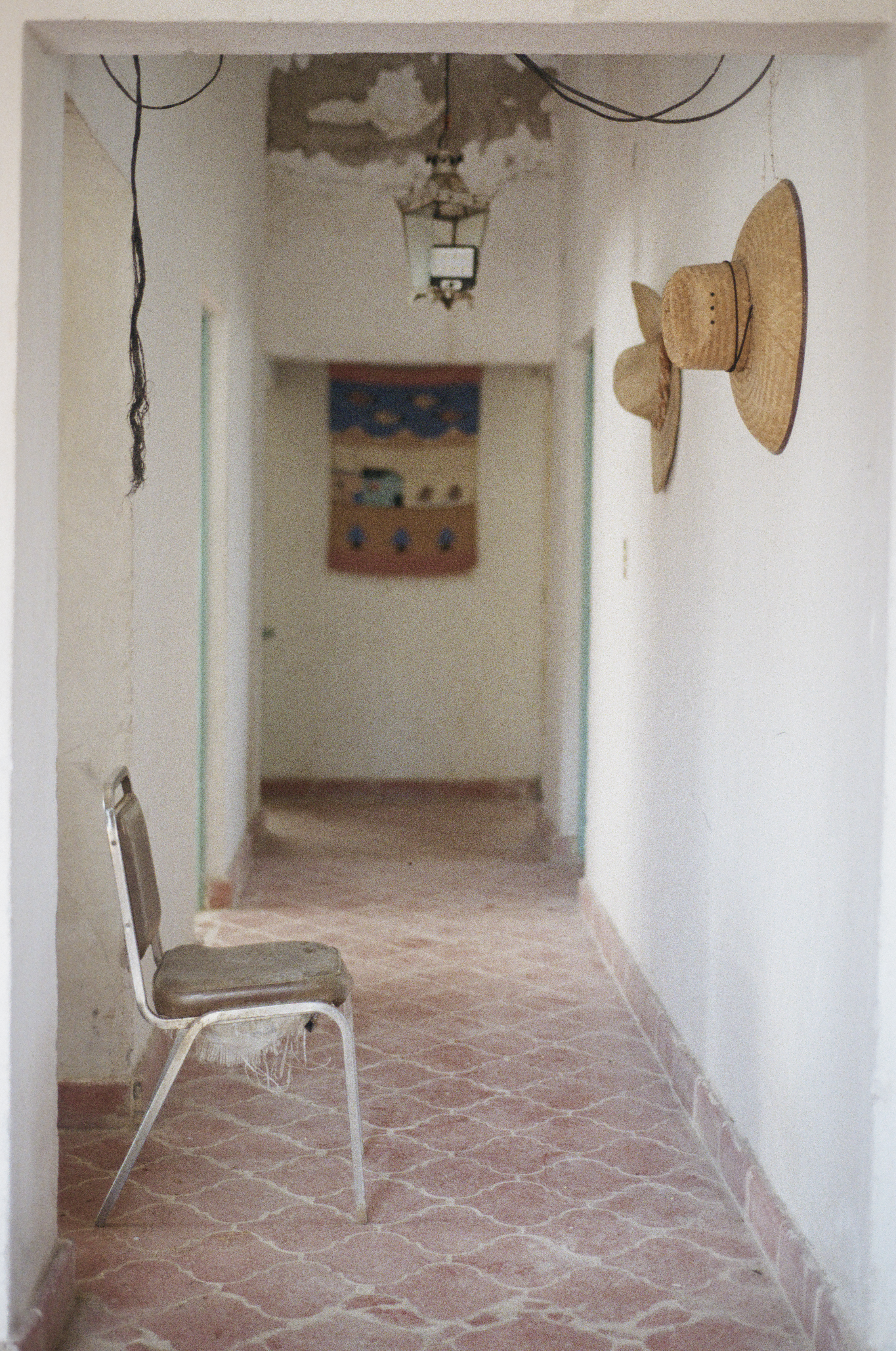 Fotografía análoga — Ricardo Aguilar y Palacio