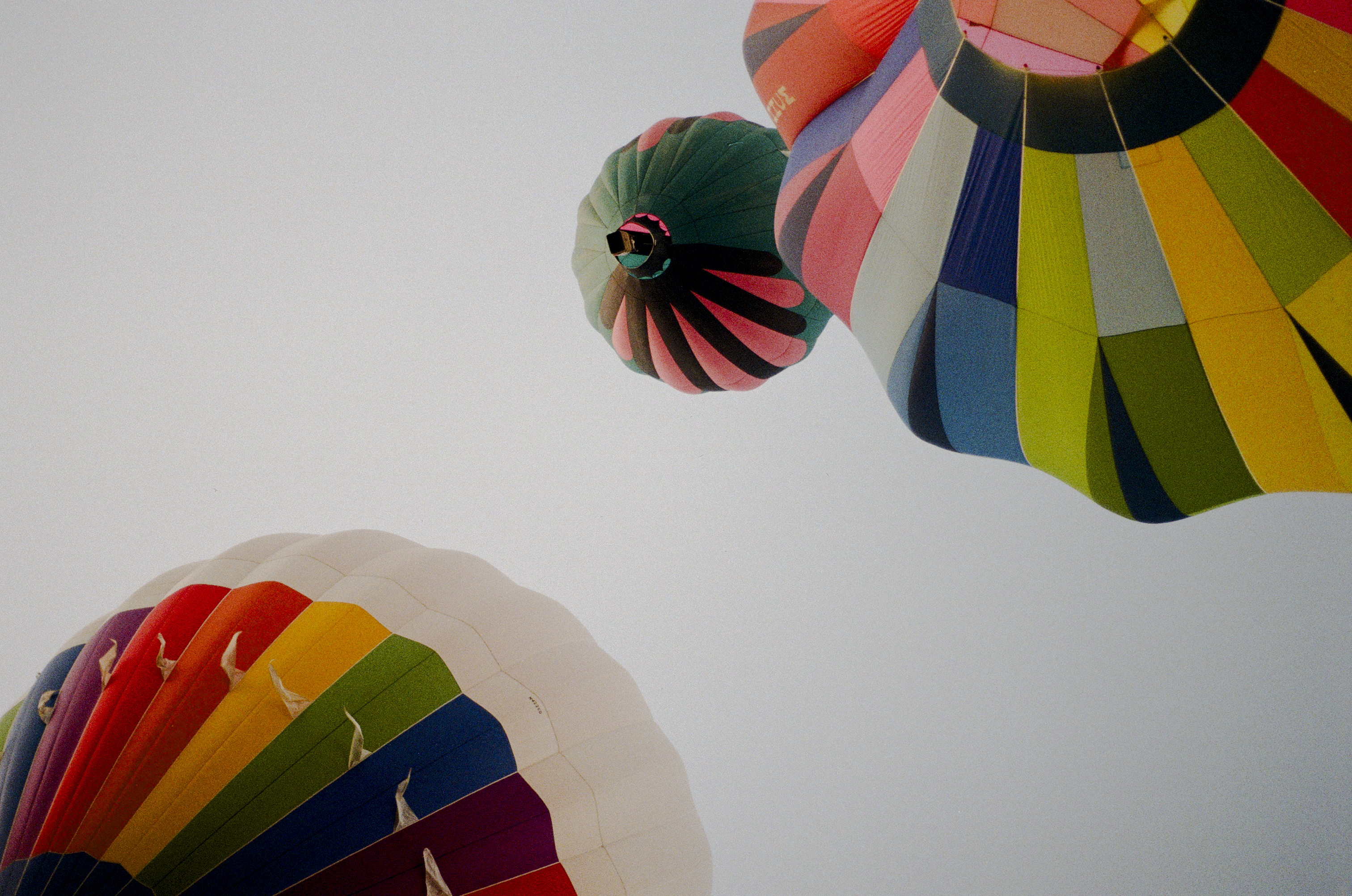 Fotografía análoga — Ricardo Aguilar y Palacio