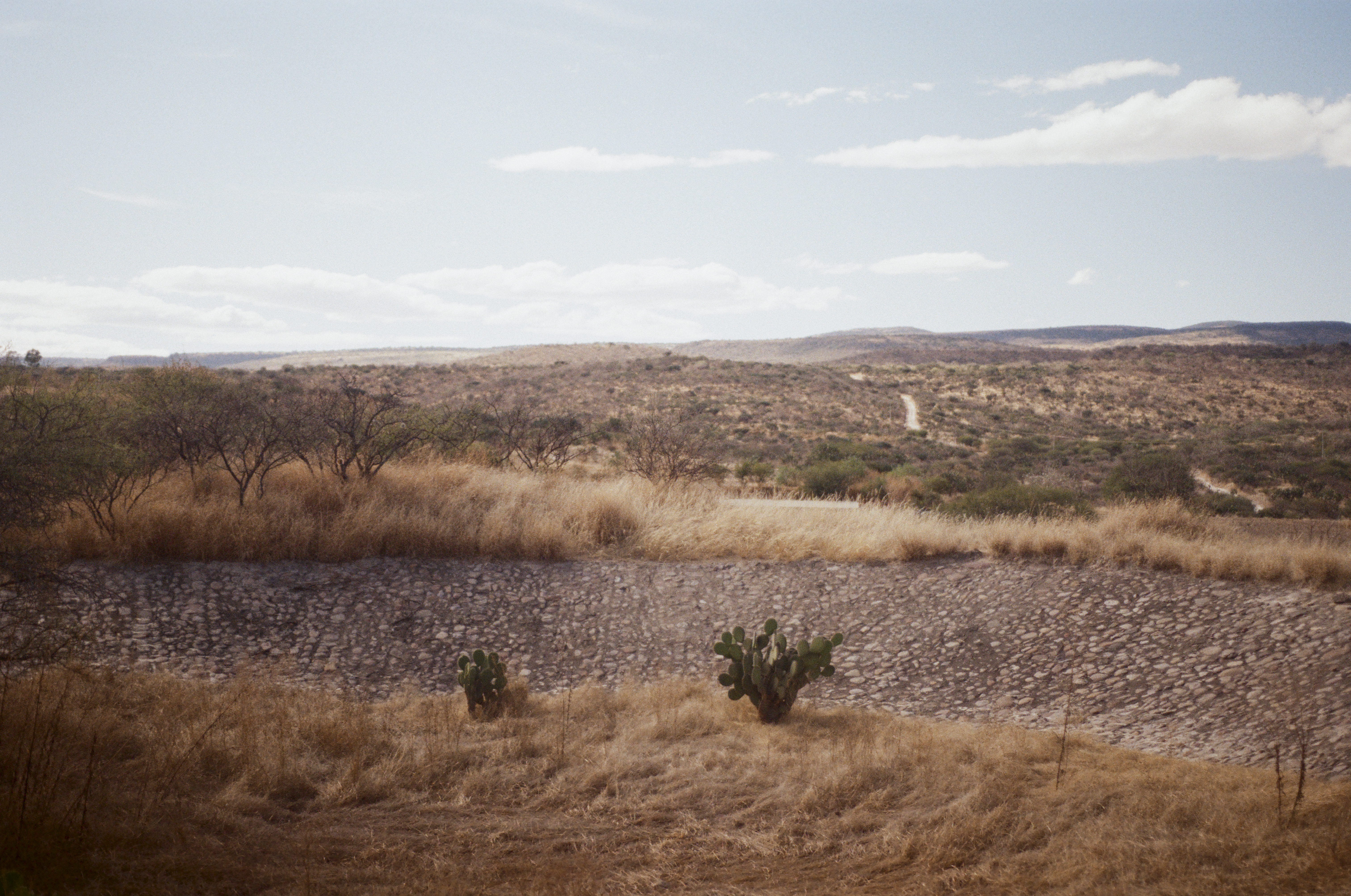 Fotografía análoga — Ricardo Aguilar y Palacio