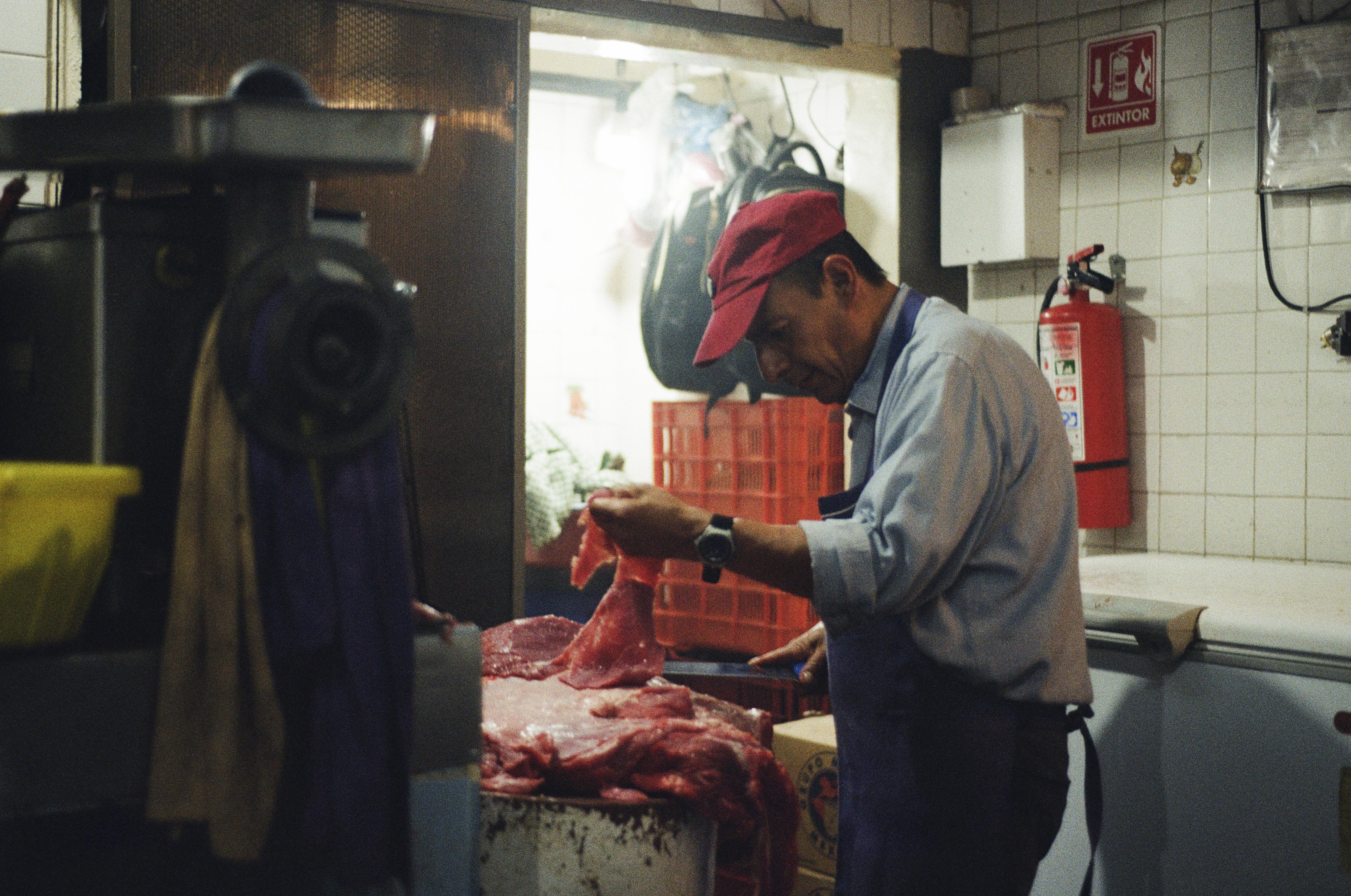 Fotografía análoga — Ricardo Aguilar y Palacio