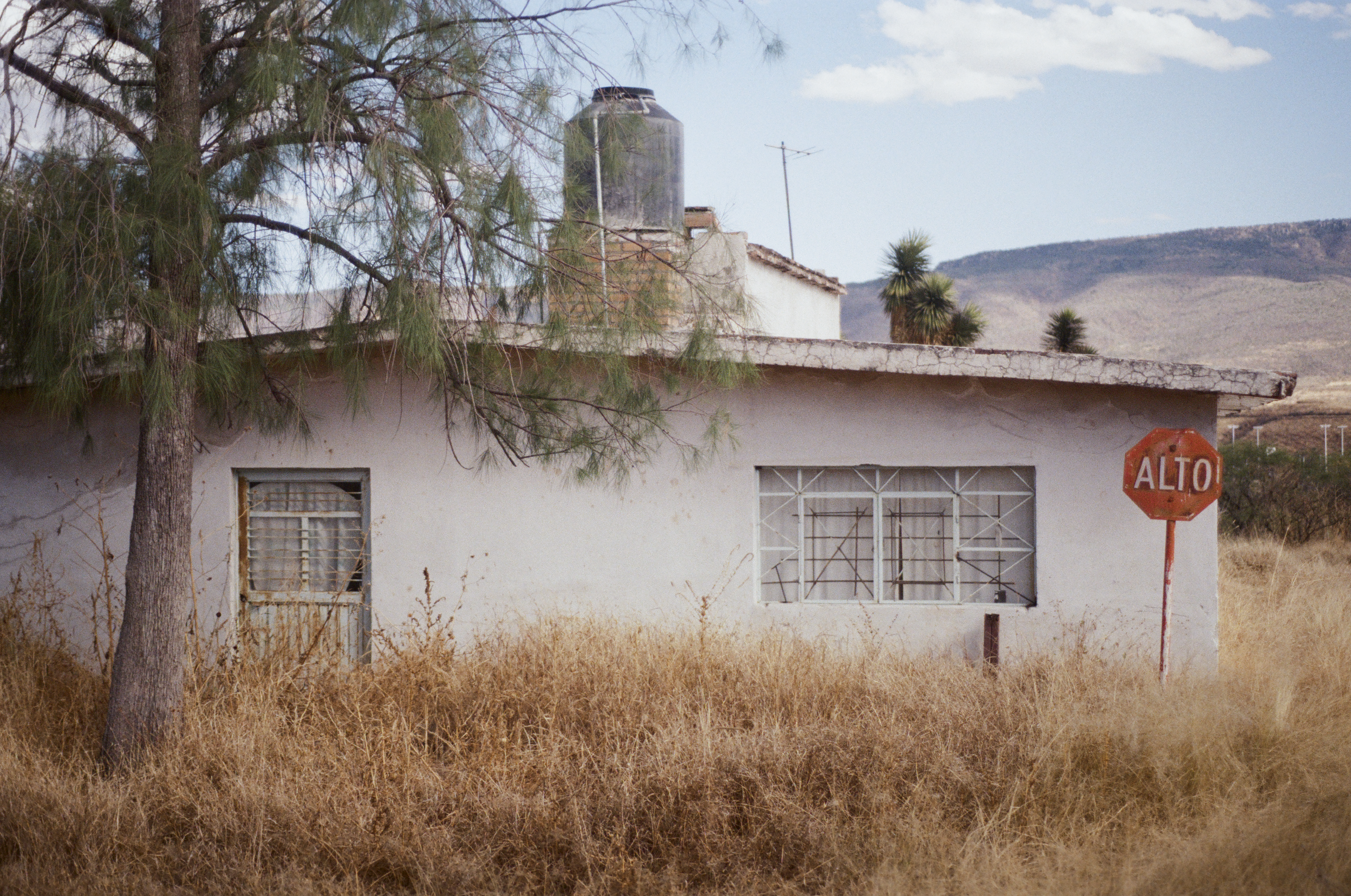 Fotografía análoga — Ricardo Aguilar y Palacio