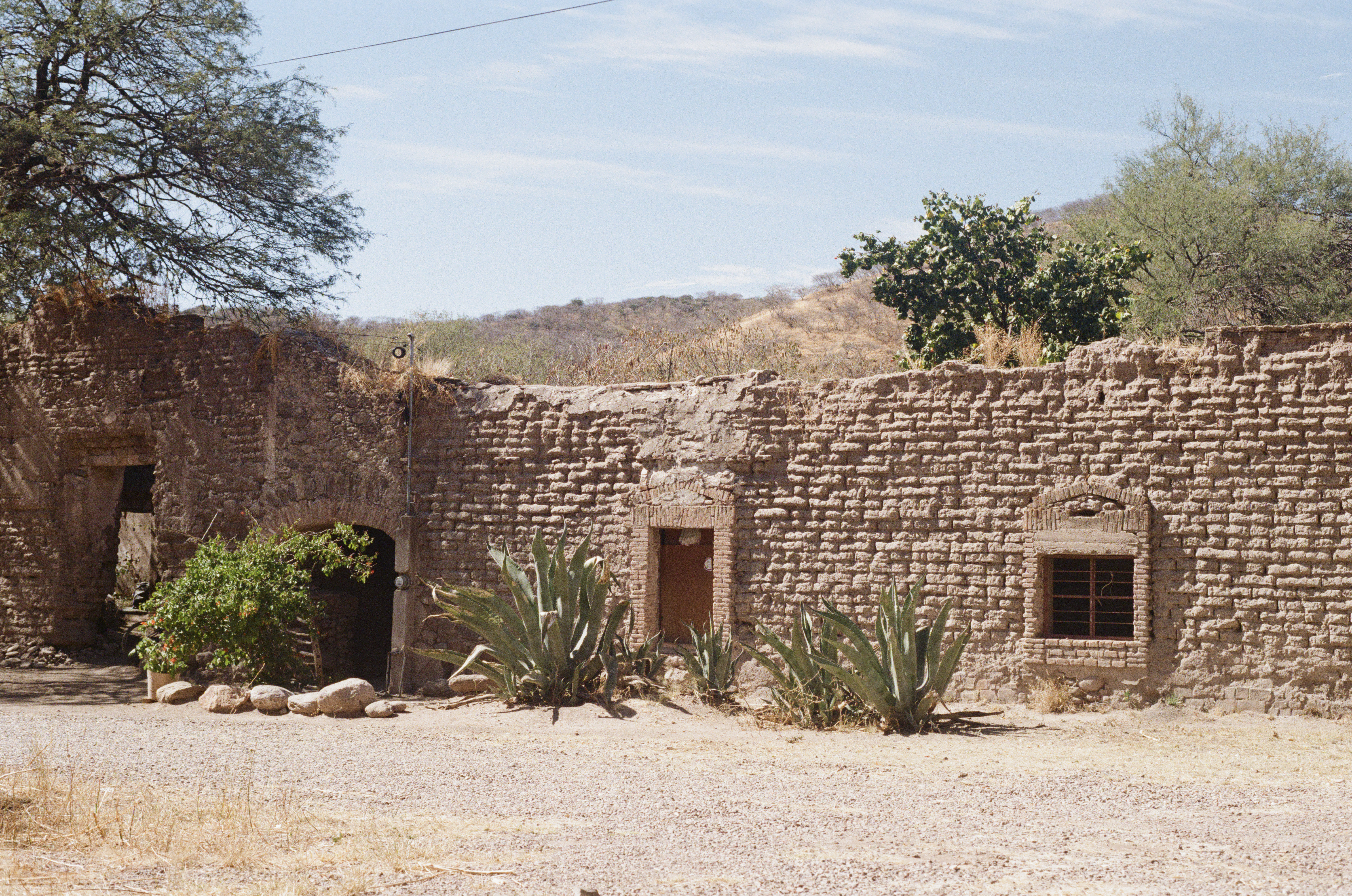 Fotografía análoga — Ricardo Aguilar y Palacio