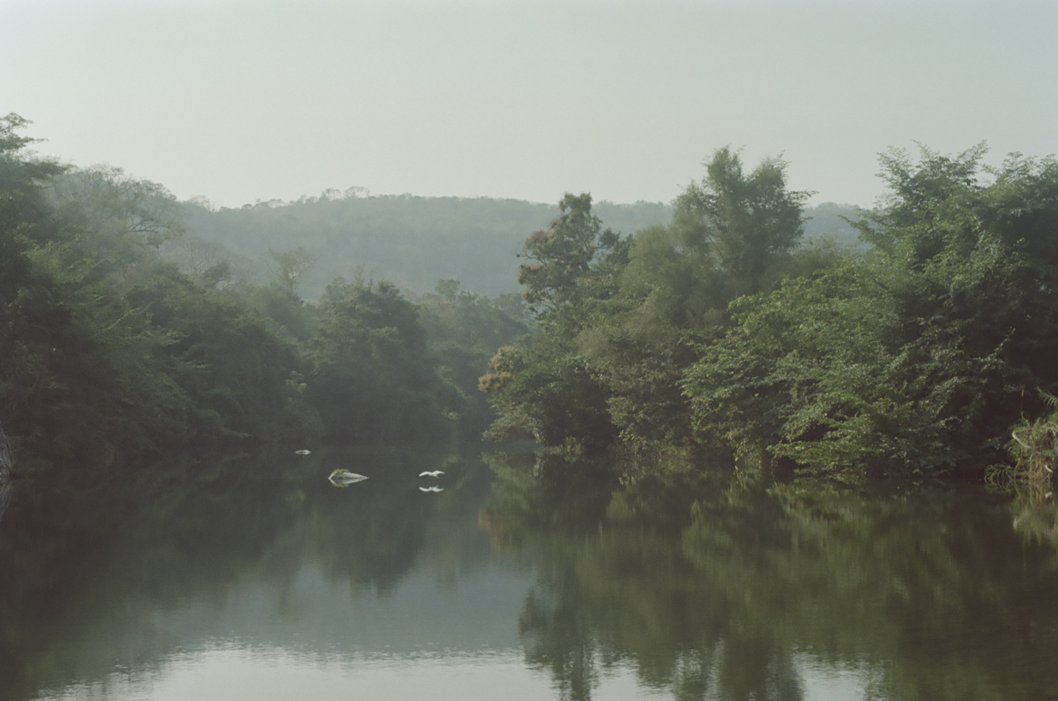 Fotografía análoga — Ricardo Aguilar y Palacio