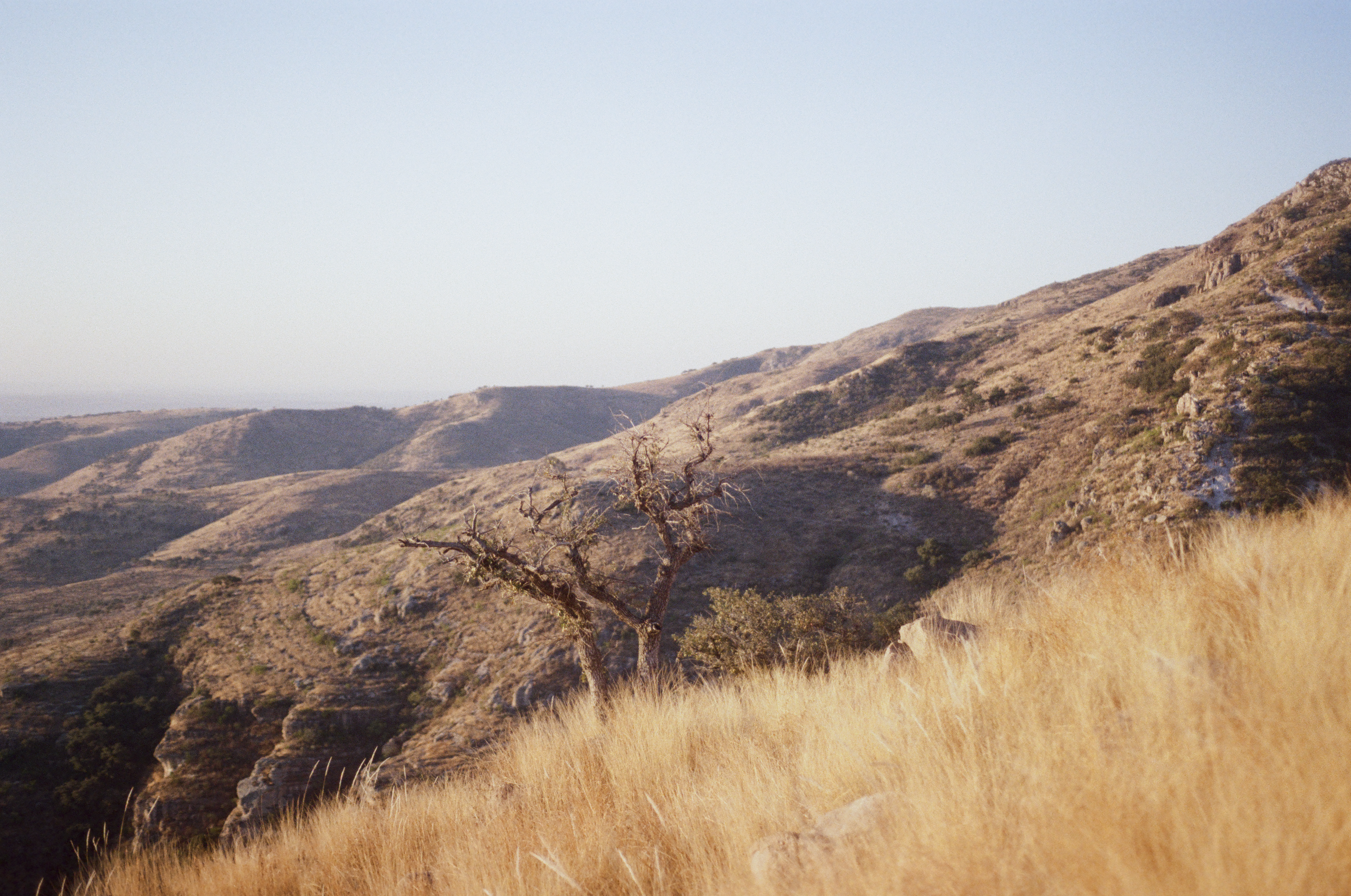 Fotografía análoga — Ricardo Aguilar y Palacio