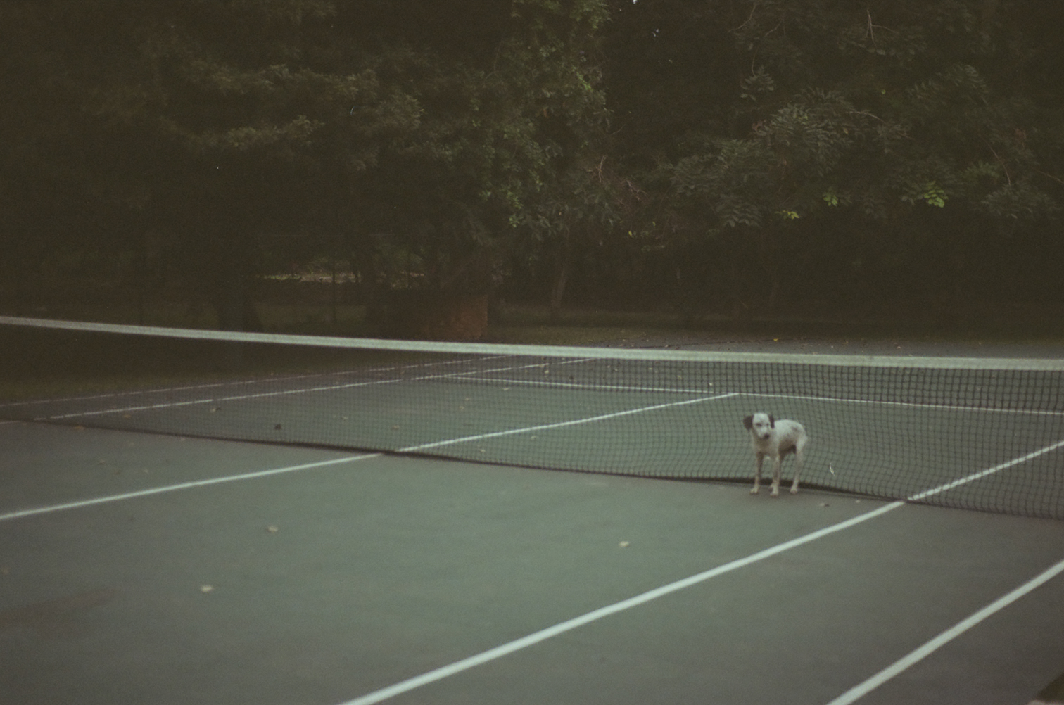 Fotografía análoga — Ricardo Aguilar y Palacio