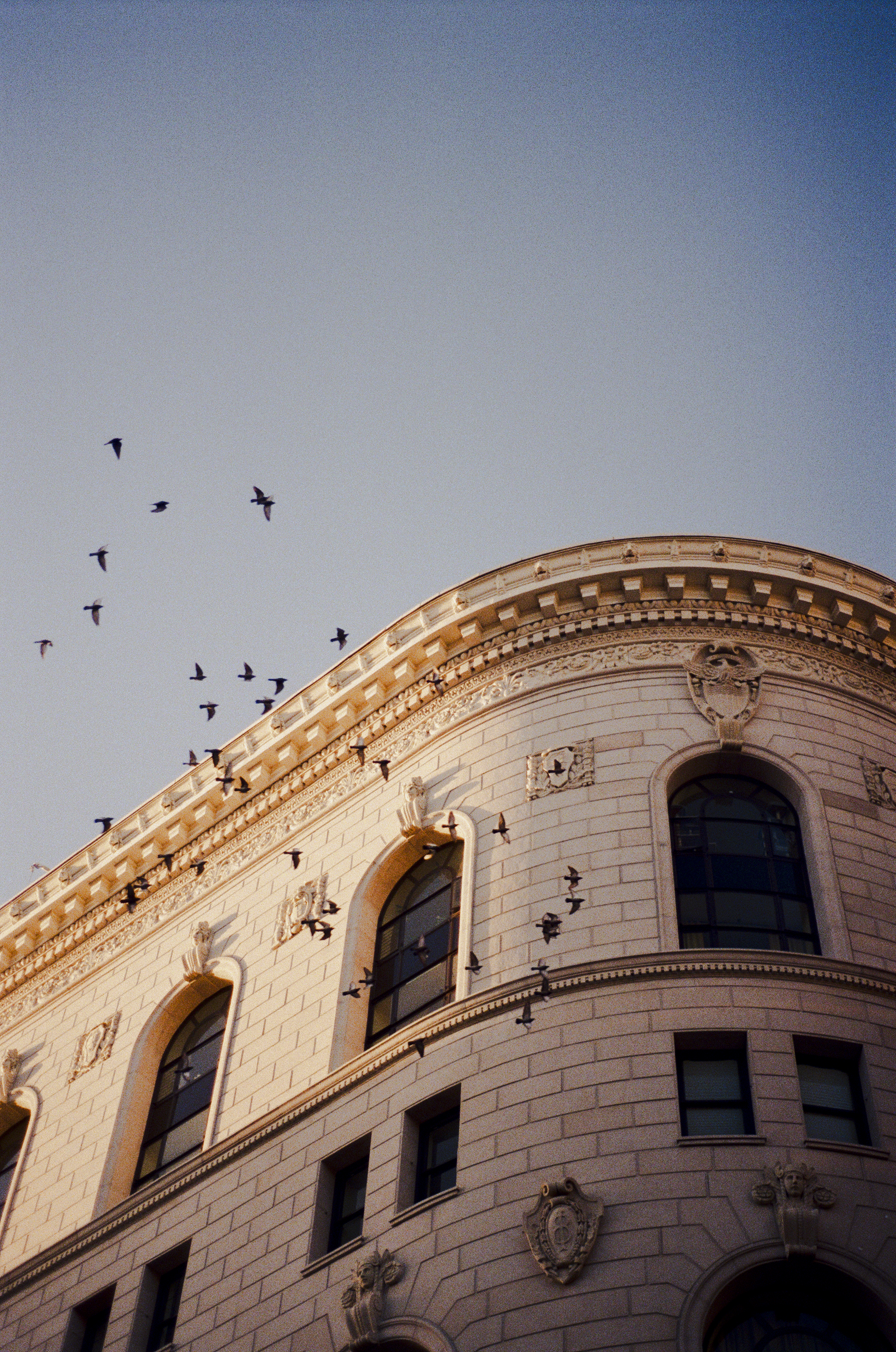 Fotografía análoga — Ricardo Aguilar y Palacio