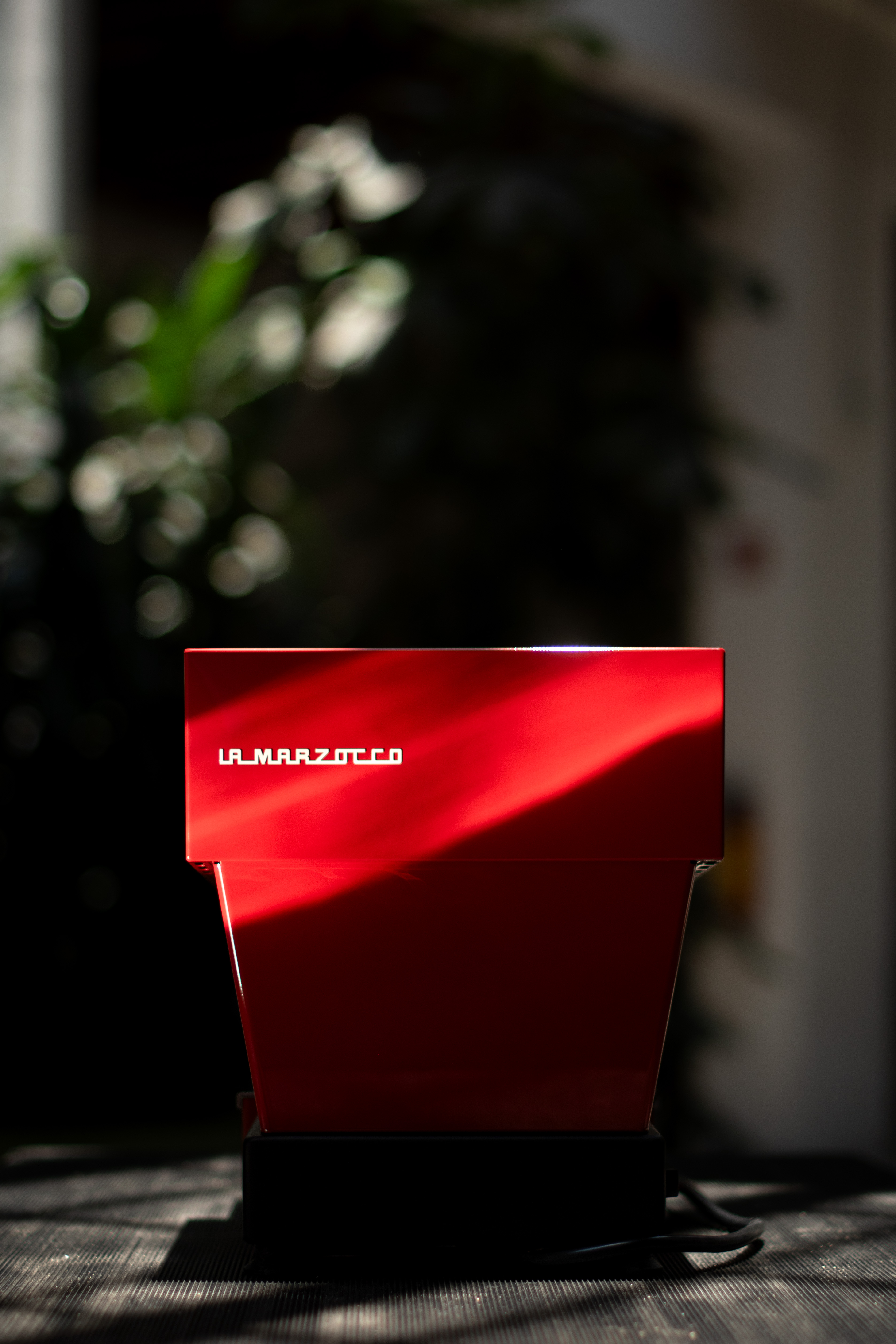 Fotografía digital — Ricardo Aguilar y Palacio