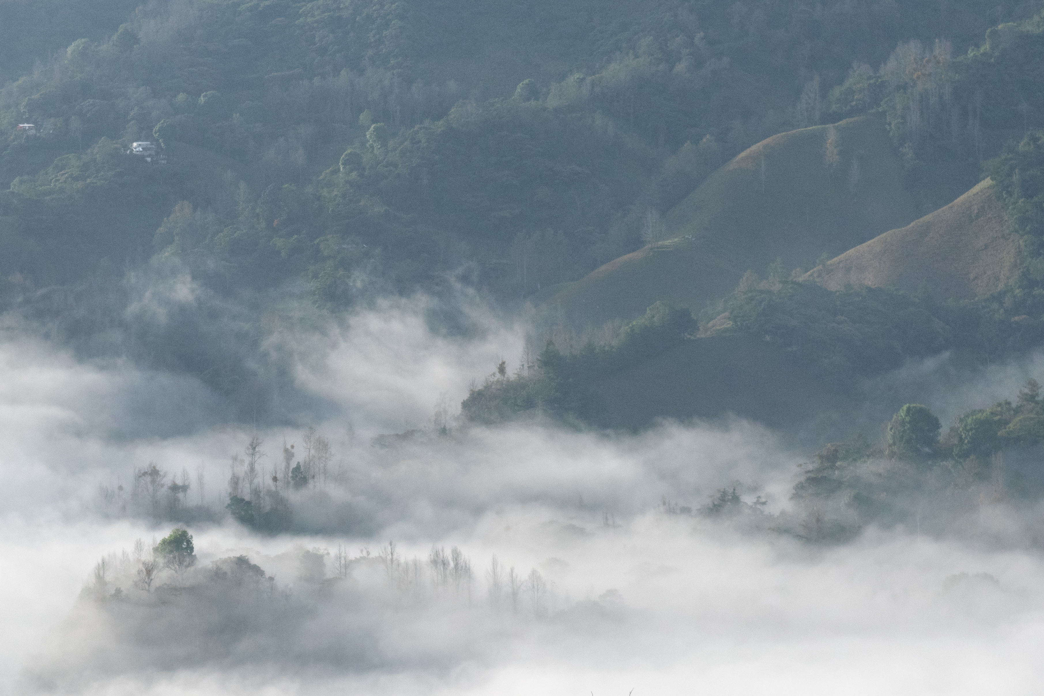 Fotografía digital — Ricardo Aguilar y Palacio