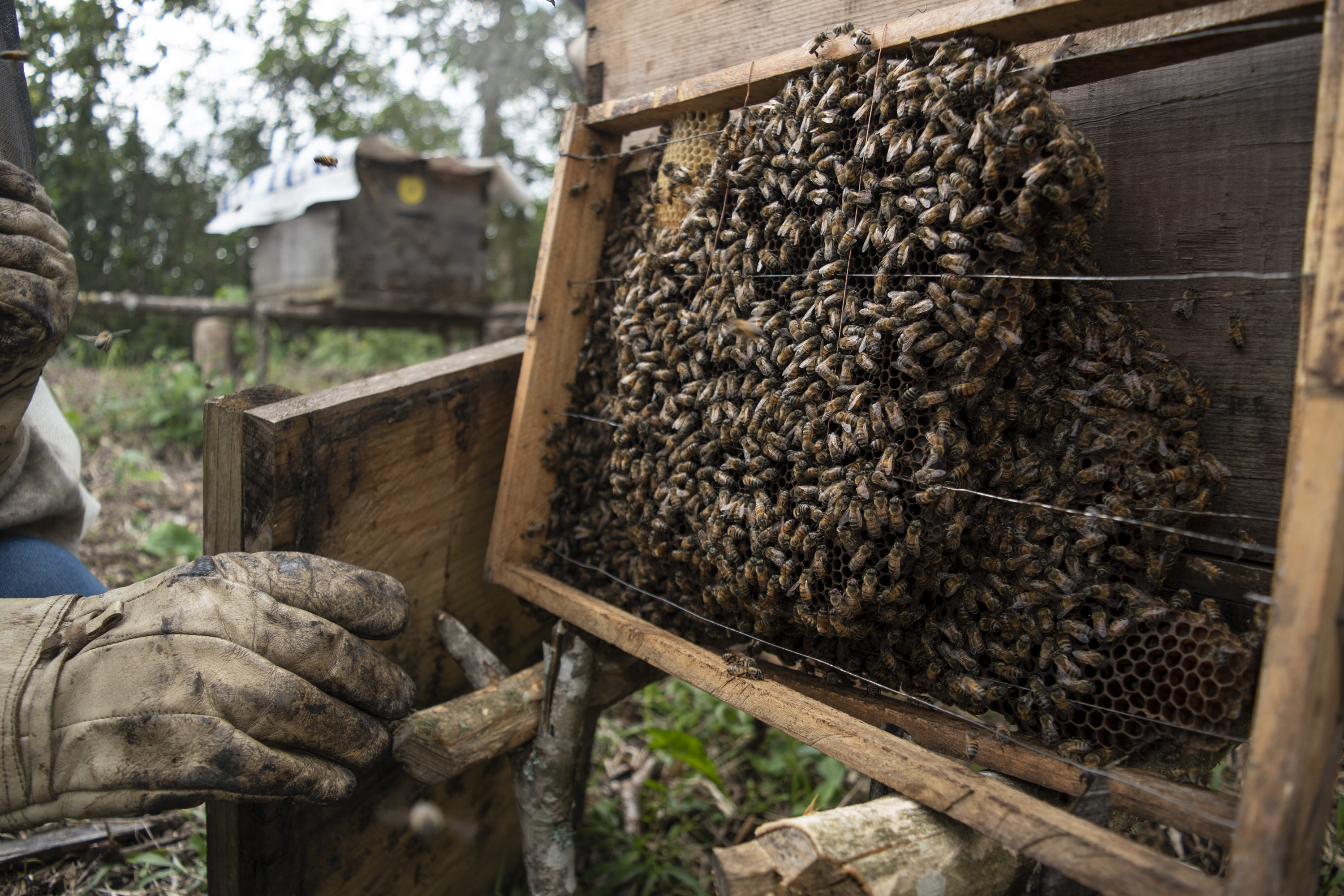 Fotografía digital — Ricardo Aguilar y Palacio