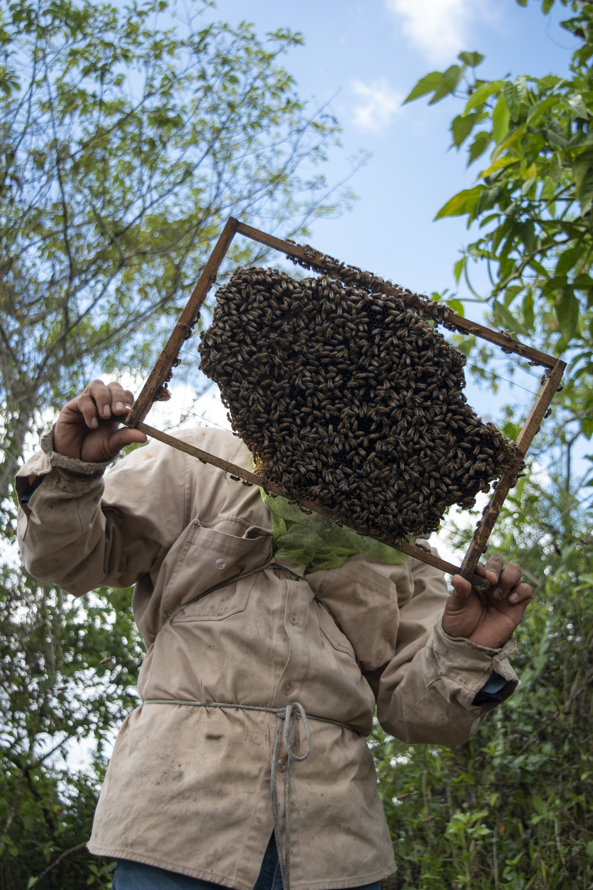 Fotografía digital — Ricardo Aguilar y Palacio