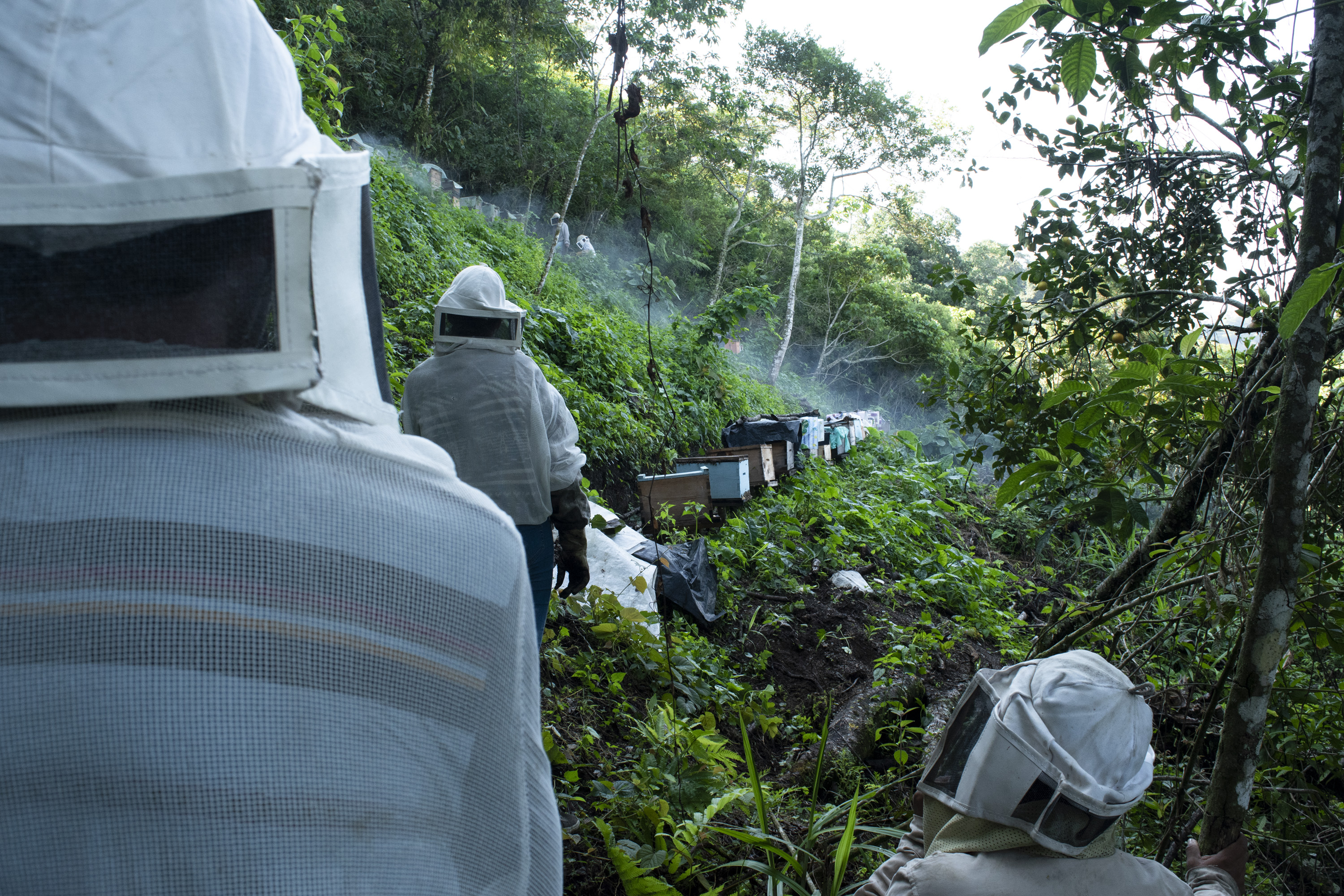 Fotografía digital — Ricardo Aguilar y Palacio