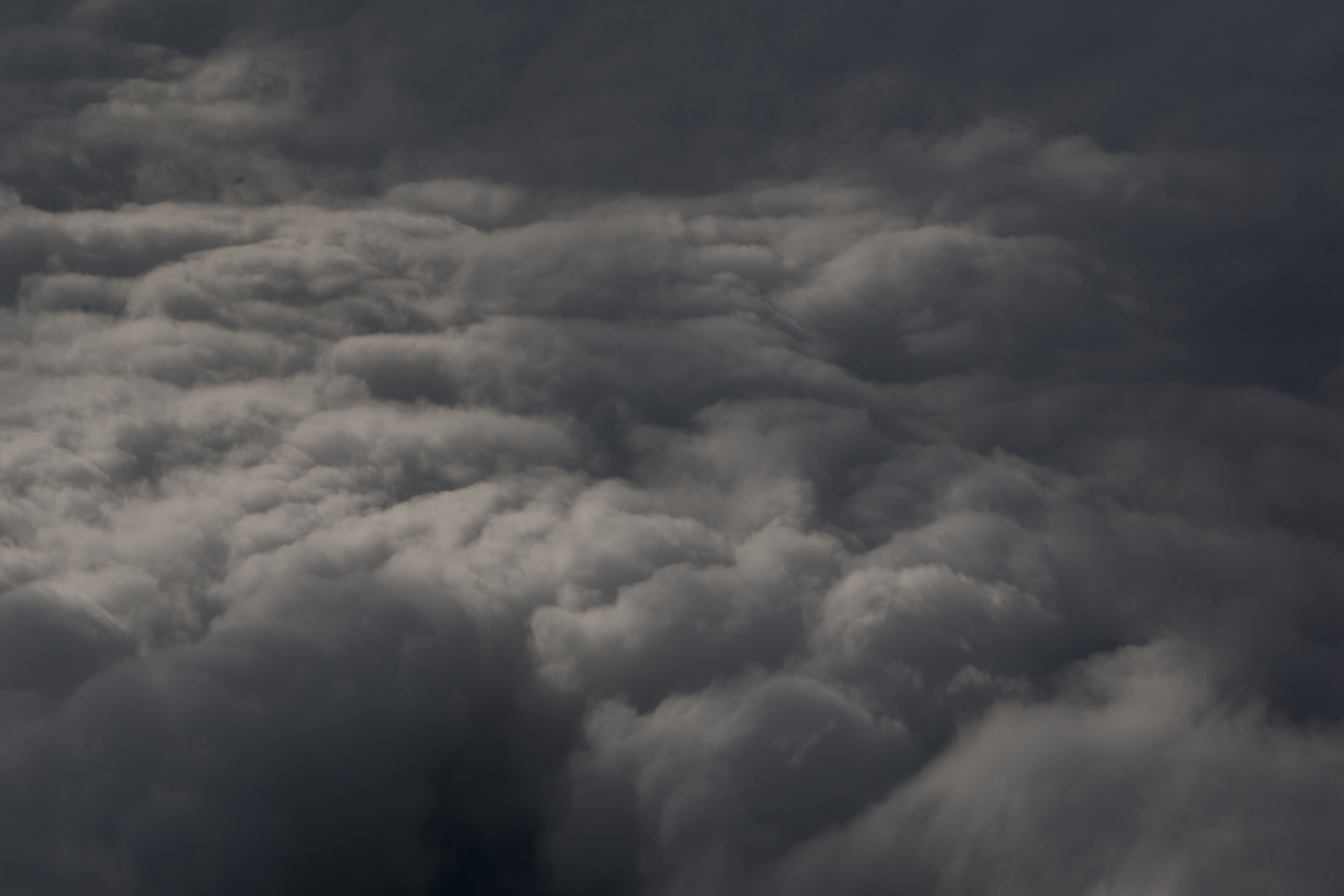 Fotografía digital — Ricardo Aguilar y Palacio