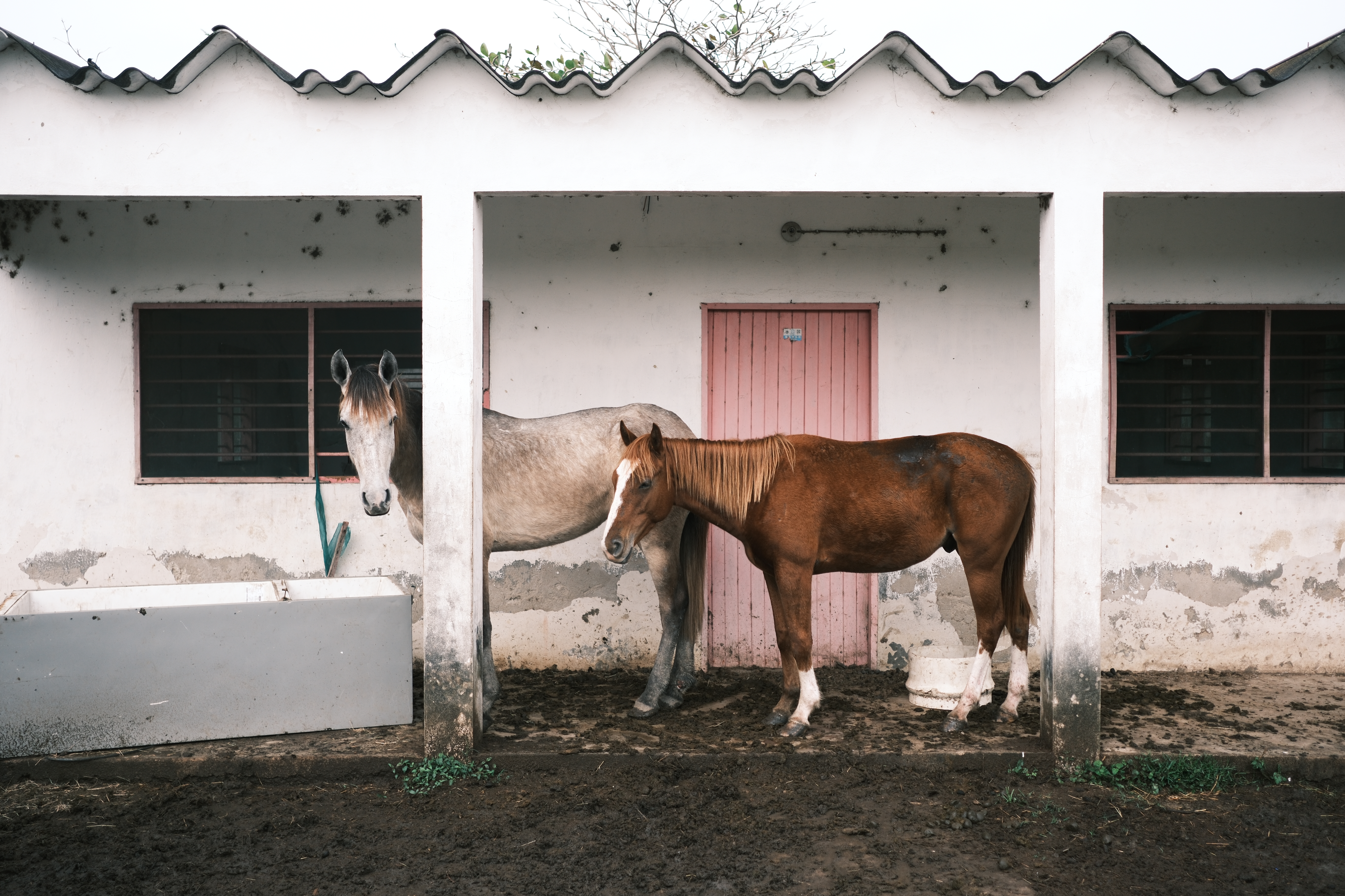 Fotografía digital — Ricardo Aguilar y Palacio