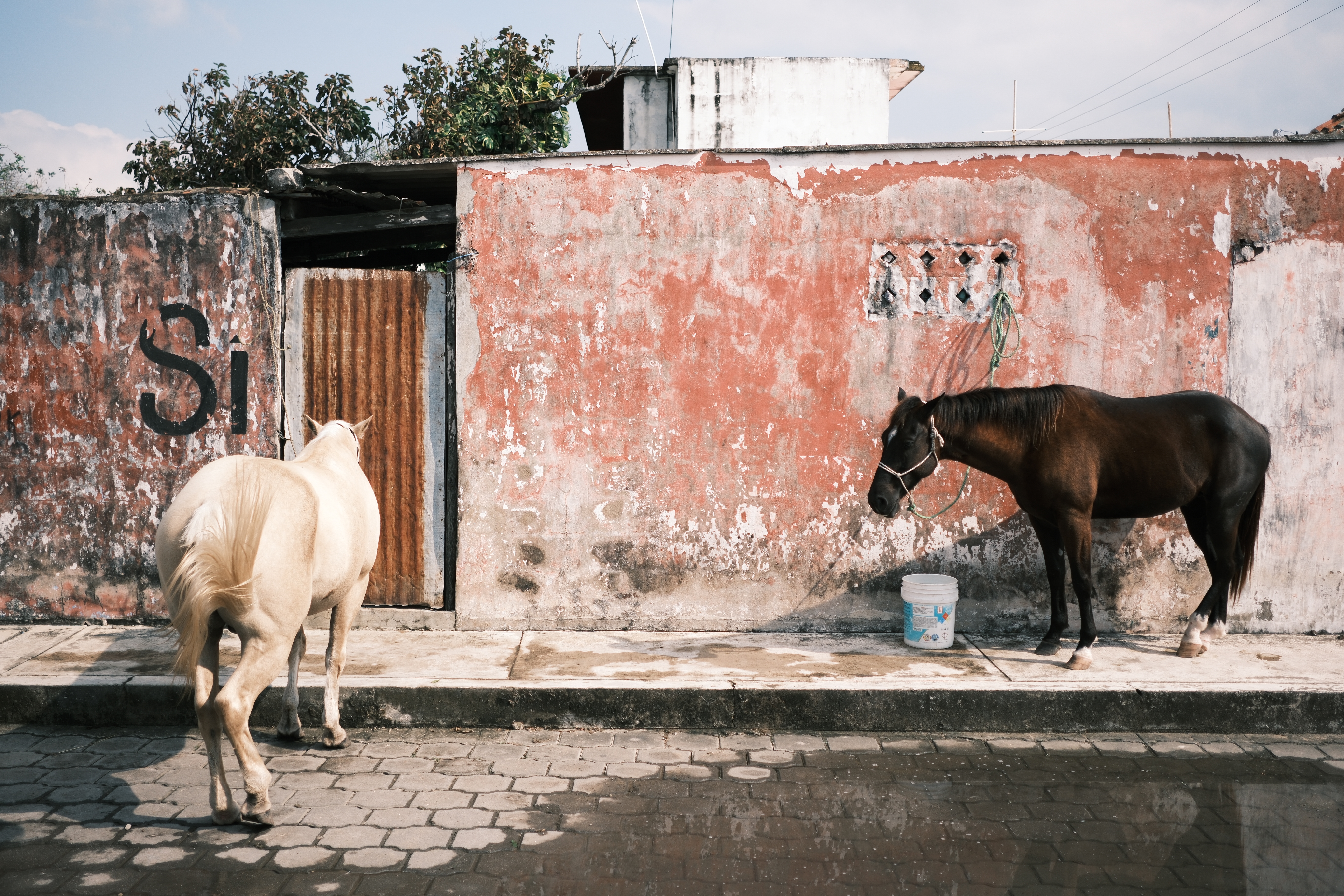 Fotografía digital — Ricardo Aguilar y Palacio