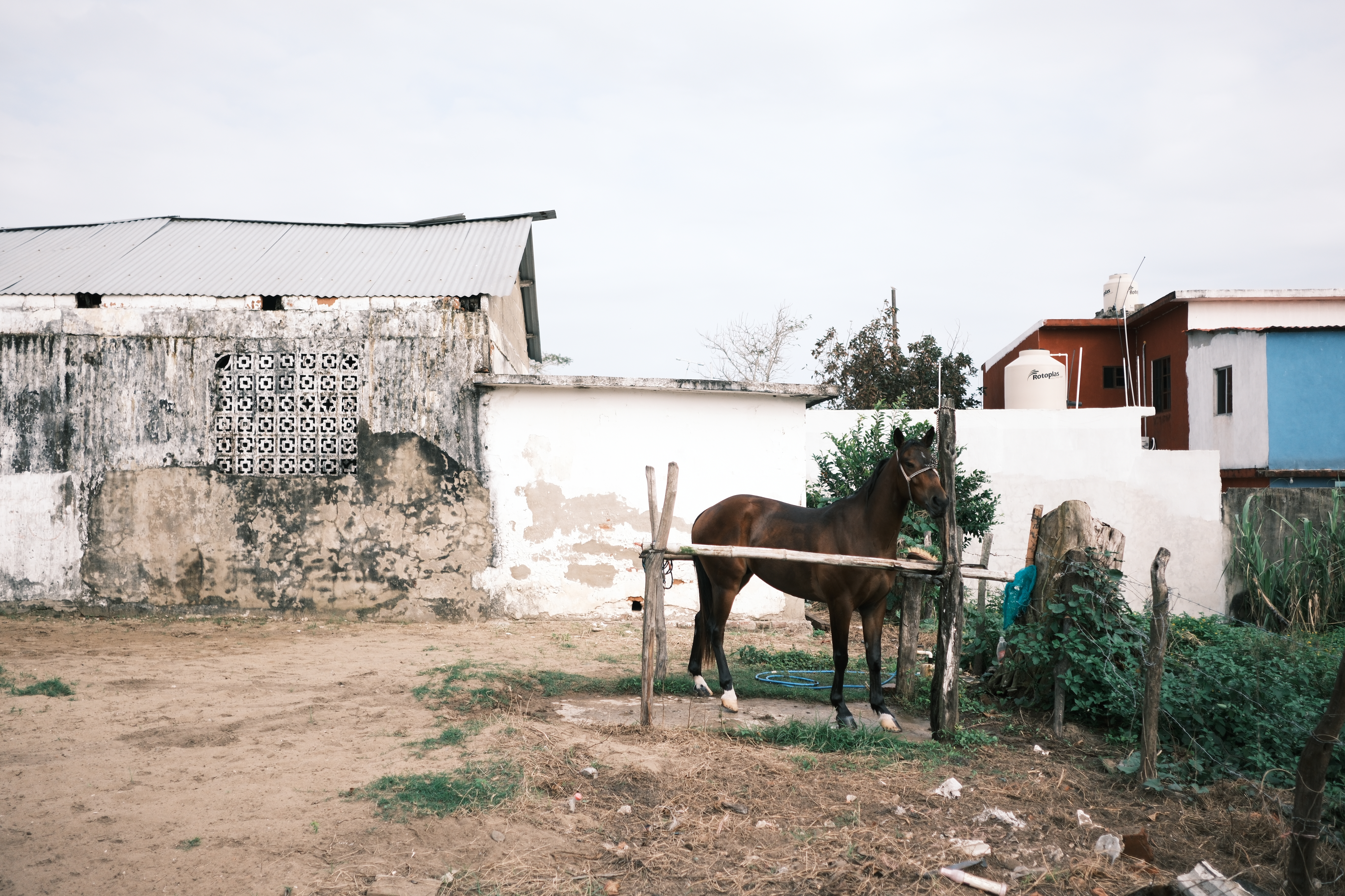 Fotografía digital — Ricardo Aguilar y Palacio