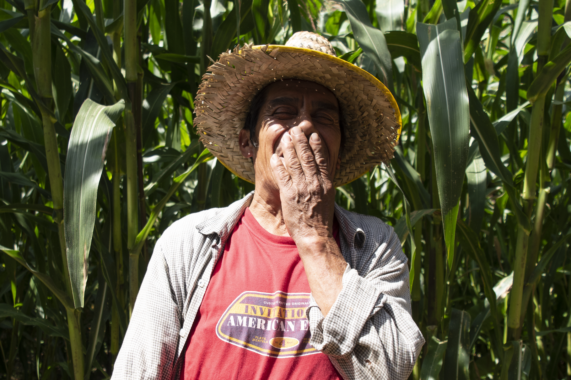 Serie mazateca — Fulgencio